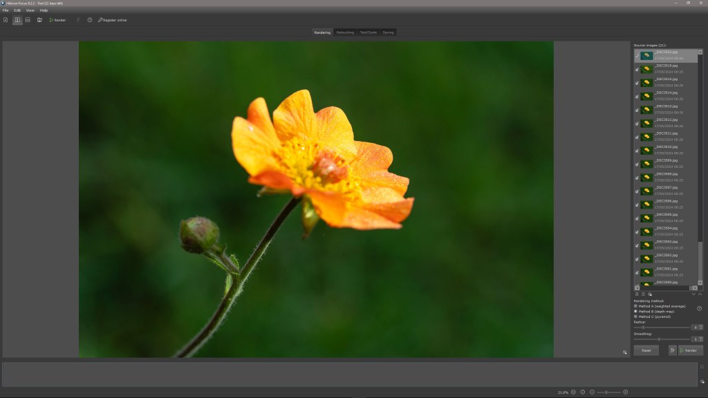 Focus stacking in Photoshop, yellow macro flower