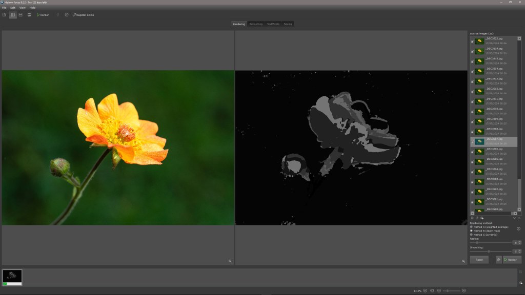 Focus stacking in Photoshop, yellow macro flower