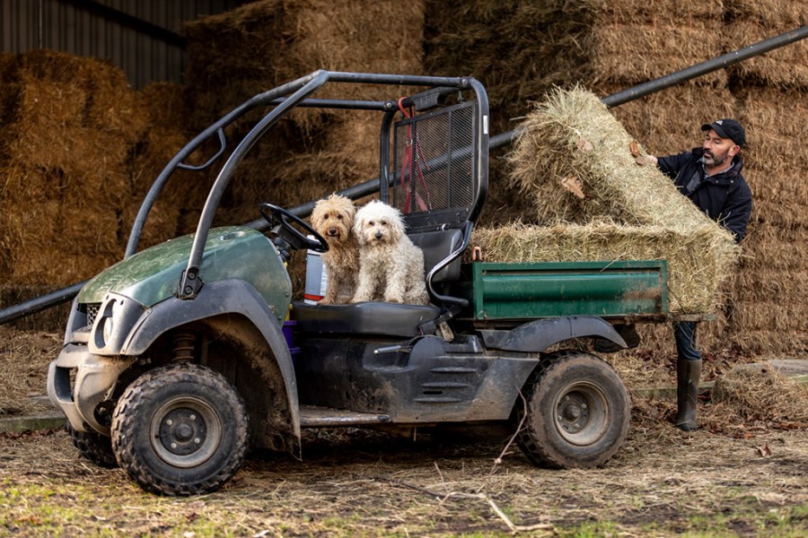 dogs maggie and phoebe on tractor with owner lifting hay bale in the background part of photology exhibition
