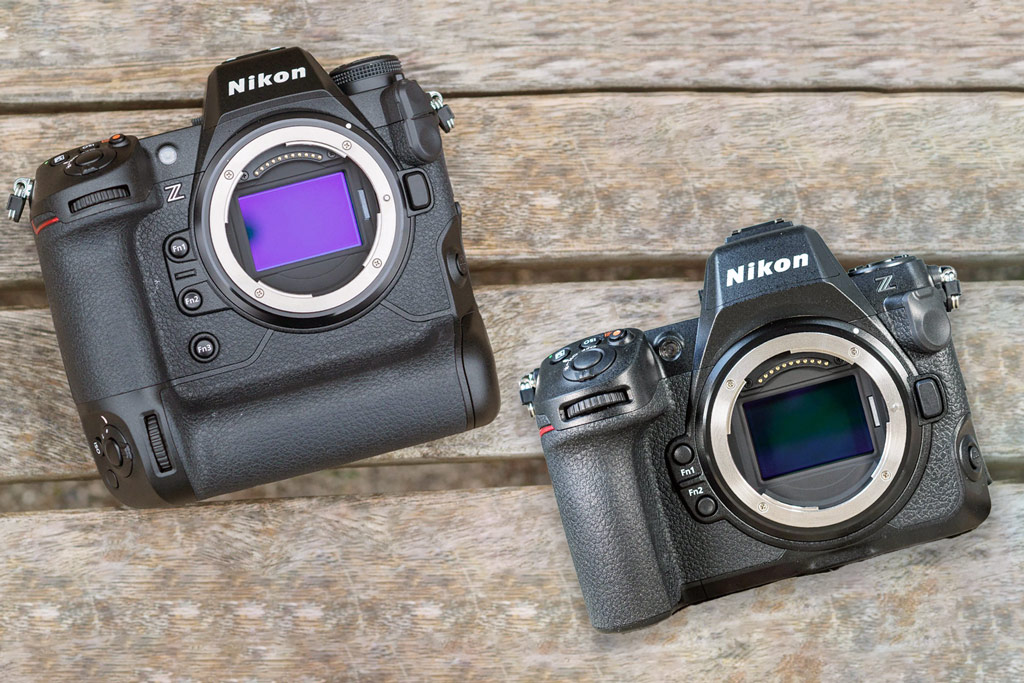 Nikon Z9 vs Nikon Z8 - we compare two top range models | Amateur ...