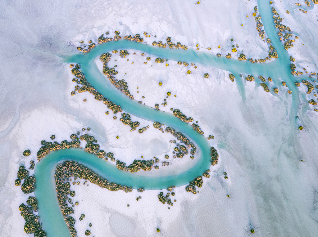 In nature's embrace, a sinuous water channel meanders gracefully, flanked by a verdant gallery of mangrove trees lining its edges, in Al Dhafra Region, Abu Dhabi.