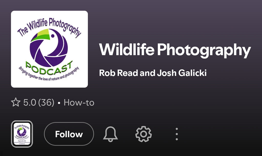 wildlife photography podcast