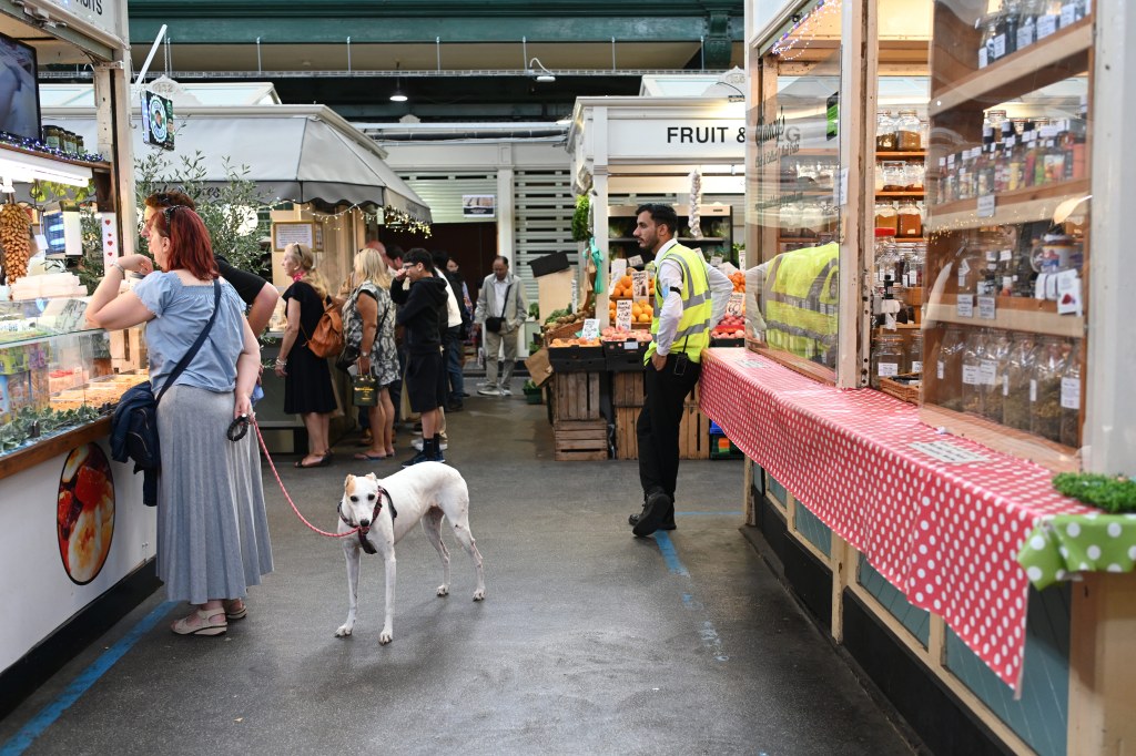 Nikon Nikkor Z 35mm f/1.4 sample image, market stalls, and acustomer with a dog