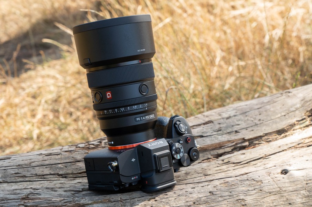 Sony FE 85mm F1.4 GM II with hood on Sony A7R V. 