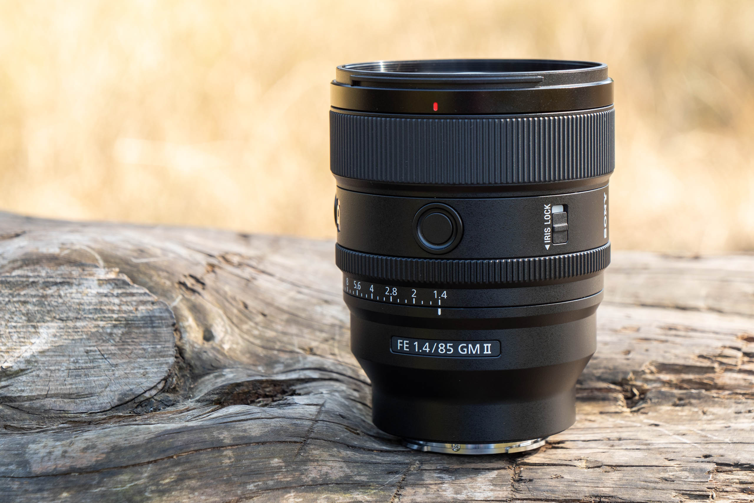 Sony FE 85mm F1.4 GM II review: perfect portrait prime? | Amateur  Photographer