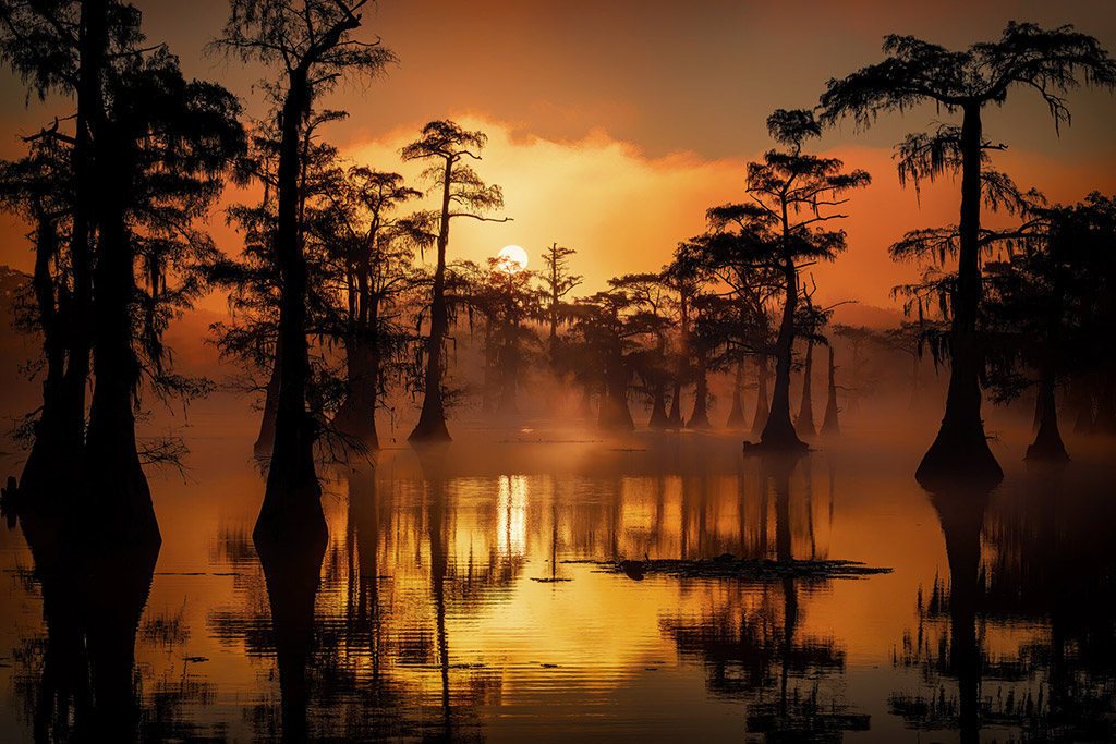 sunset at Caddo Lake in east Texas