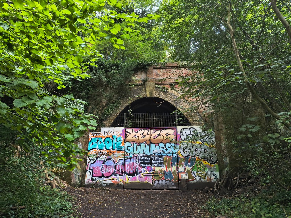 Photo of Crescent Wood tunnel taken with the Motorola Edge 50 Neo's main camera