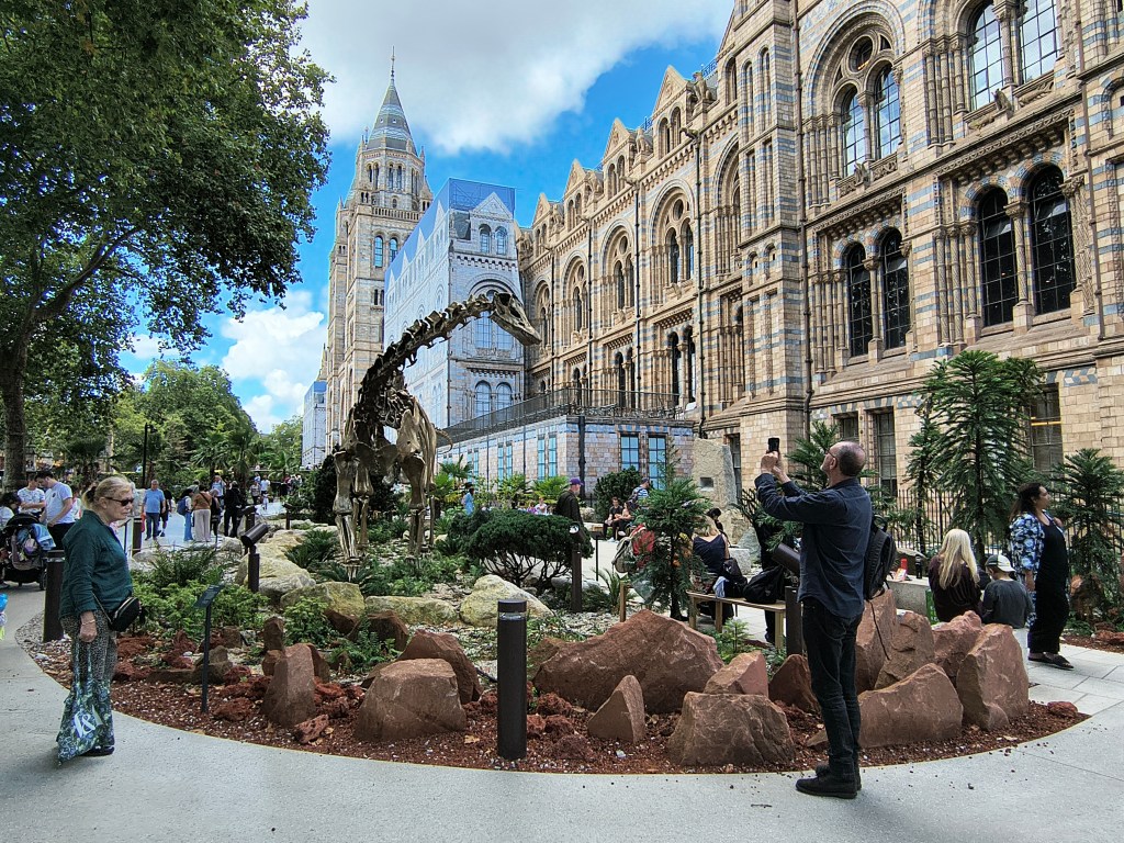 The Natural History Museum's Wildlife gardens, photo taken with Motorola Edge 50 Neo's ultrawide camera