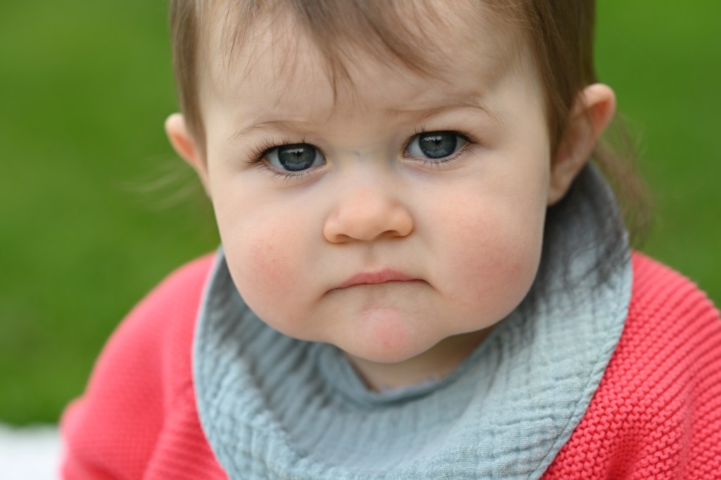 A sample image taken with the Nikon Nikkor 135mm Plena lens