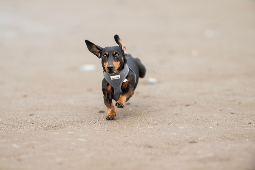 A sample image taken with the Nikon Nikkor 135mm Plena lens