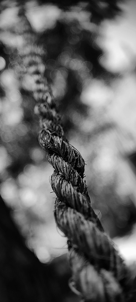 black and white close up image of a rope