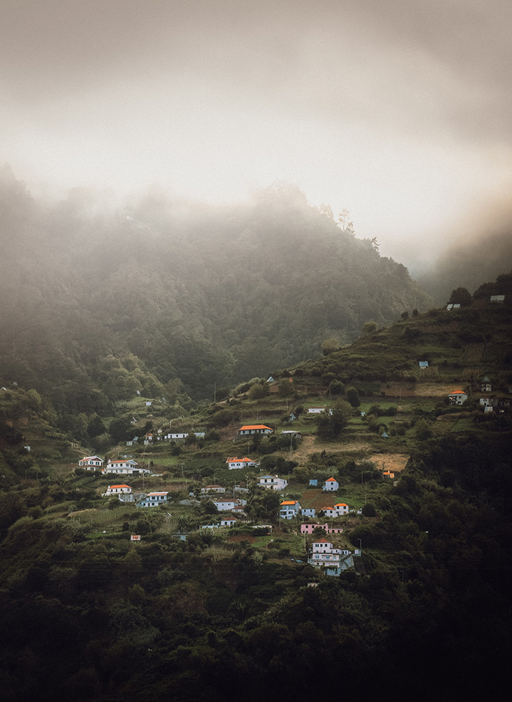 village in misty hills