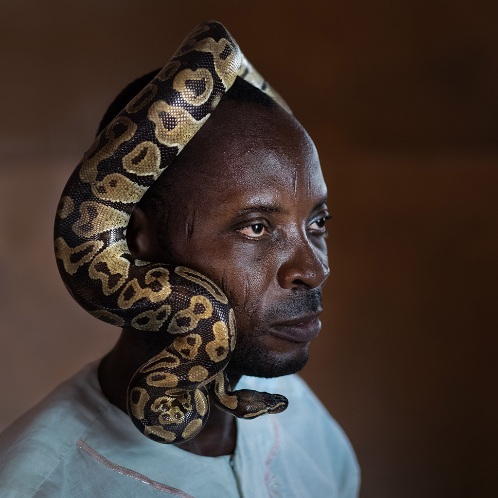 Portrait of a man with a python over his head