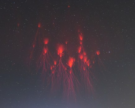 Standard Chartered Weather Photographer of the Year 2024 red sprite lightning Wang Xin, Sprites Dancing in the Dark Night