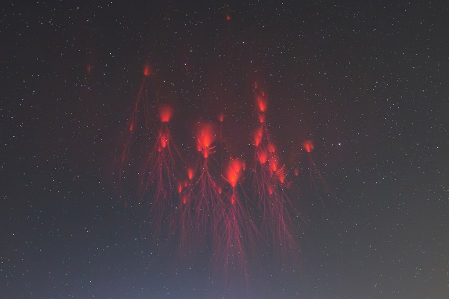 Standard Chartered Weather Photographer of the Year 2024 red sprite lightning Wang Xin, Sprites Dancing in the Dark Night