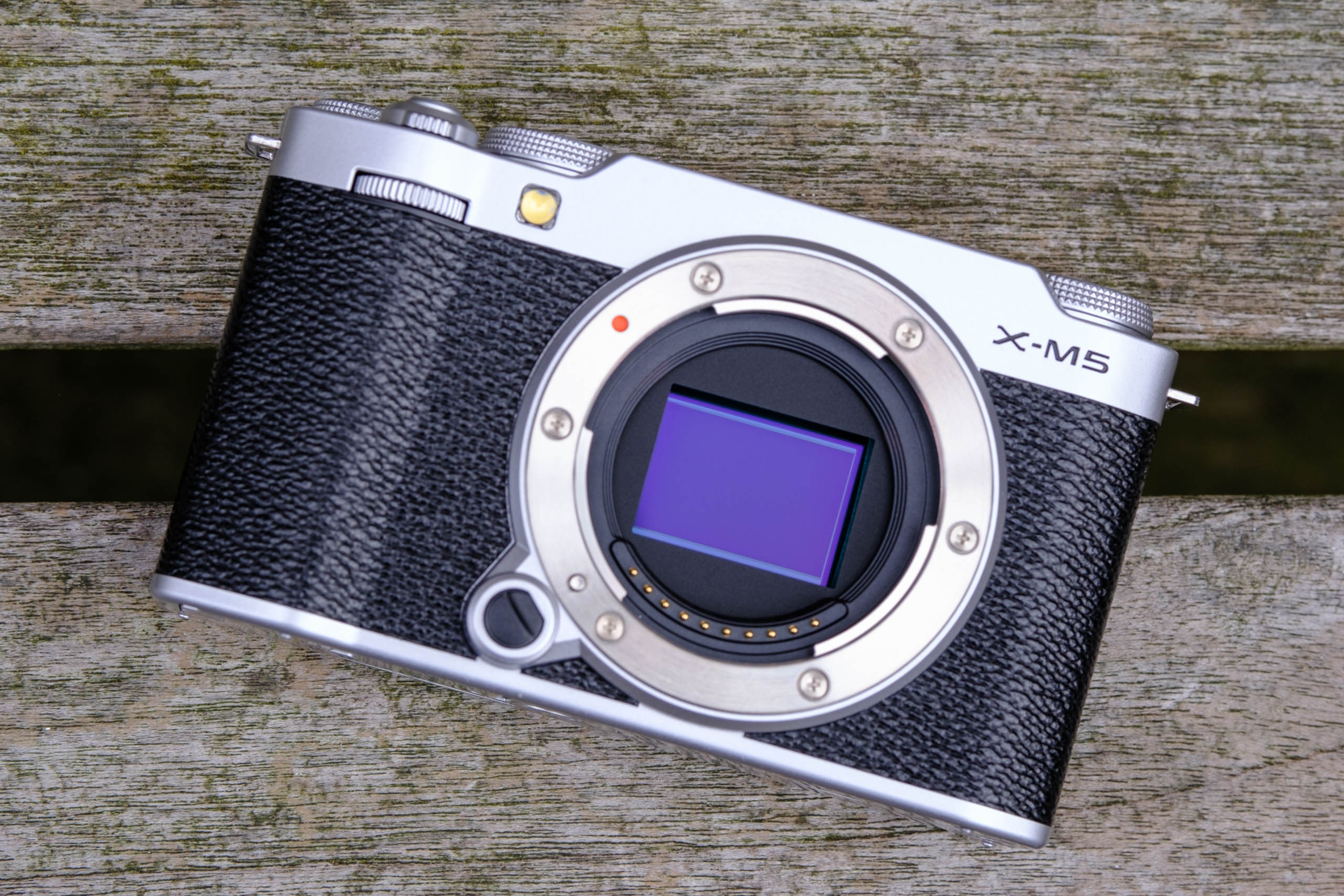 Fujifilm X-M5 review: Small and (almost) perfectly formed | Amateur ...