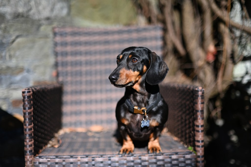 A sample image taken with the Nikon 50mm f/1.4 lens