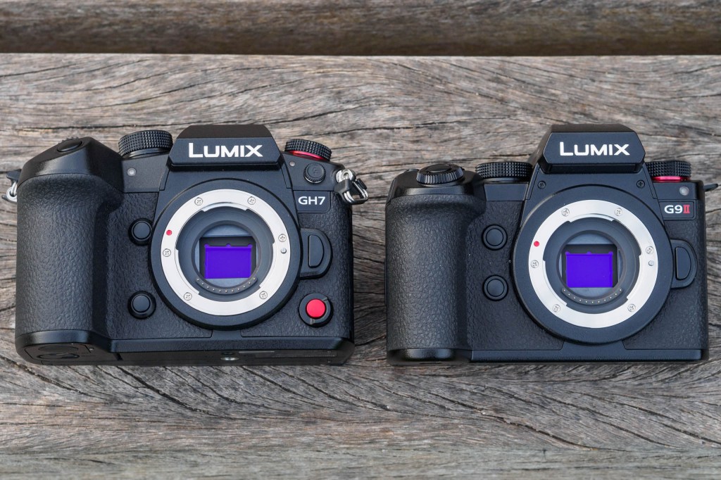 Panasonic Lumix GH7 vs G9II, sensors.