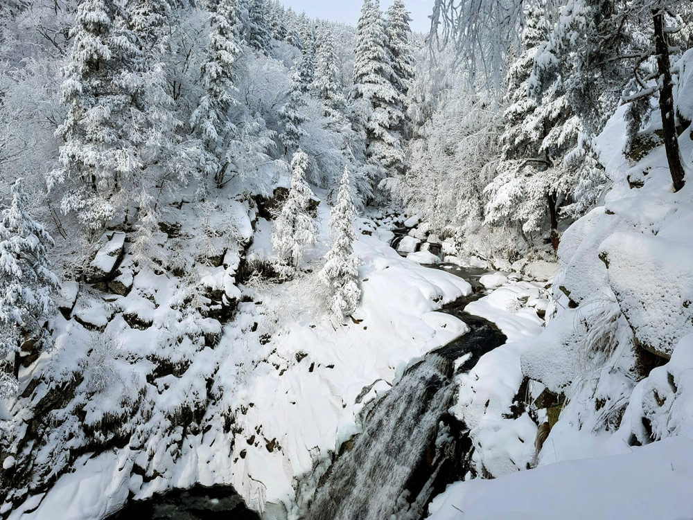 Vasil Bakalov, Bulgaria, GuruShots