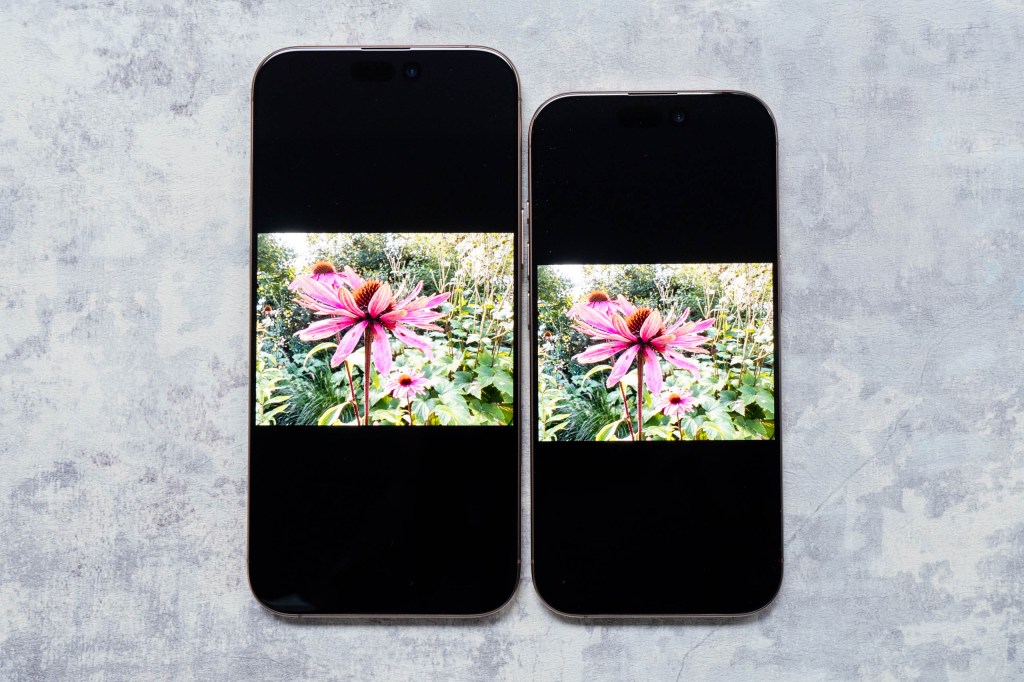 iPhone 16 Pro next to the iPhone 16 Pro Max showing the screen switched on. Image: Amy Davies