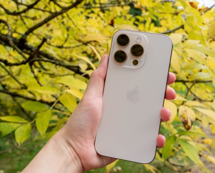 The iPhone 16 Pro in Desert Titanium. Image: Amy Davies