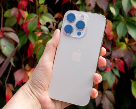An iPhone 16 Pro in front of some autumn leaves