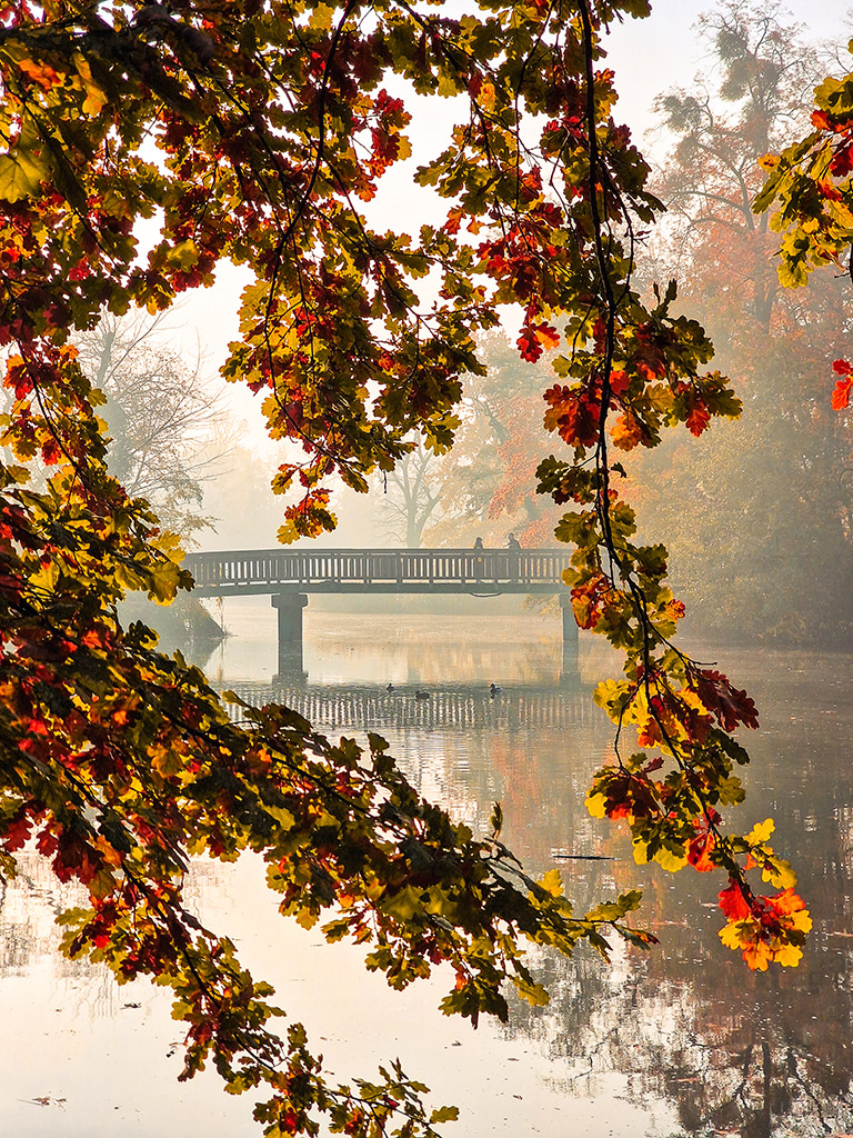 Sołacki Park in Poznań