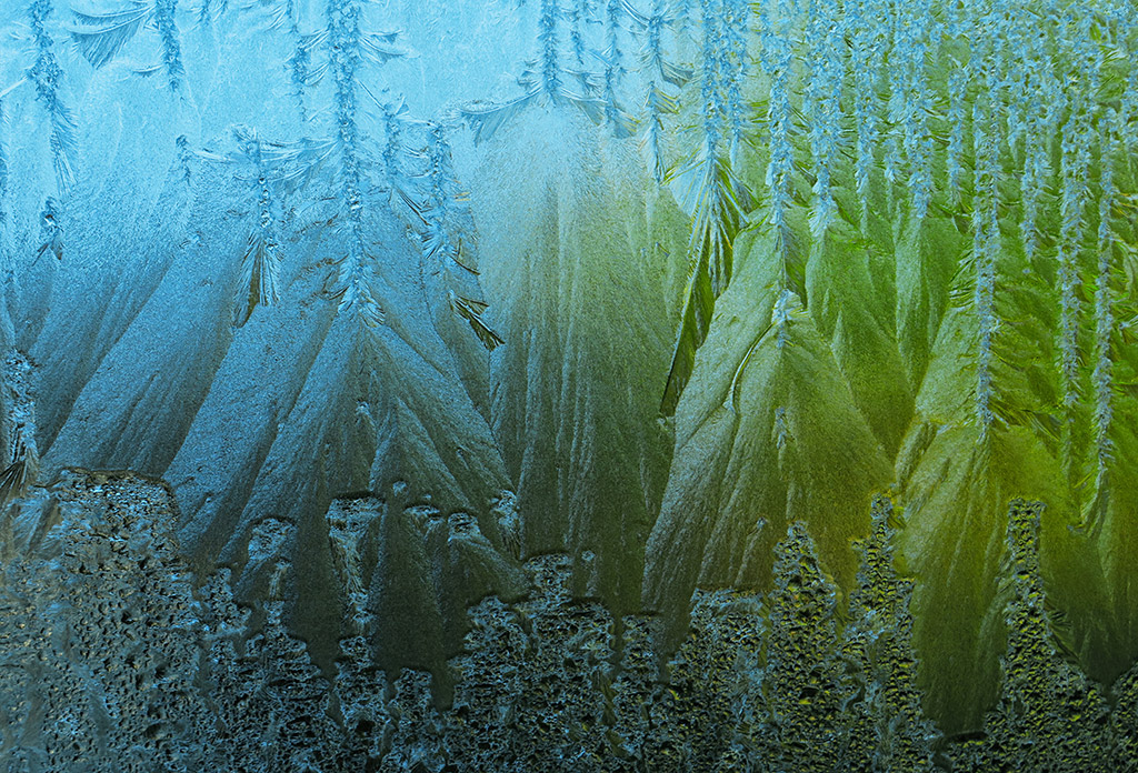 close-up of frost patterns