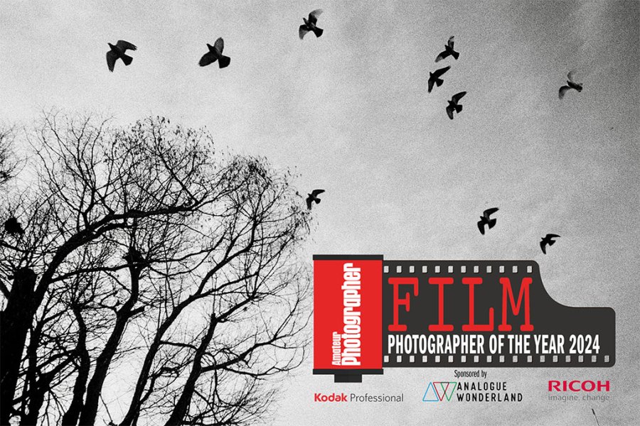 film photographer of the year launch