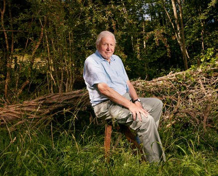 portrait of britain shortlist photo of david attenborough