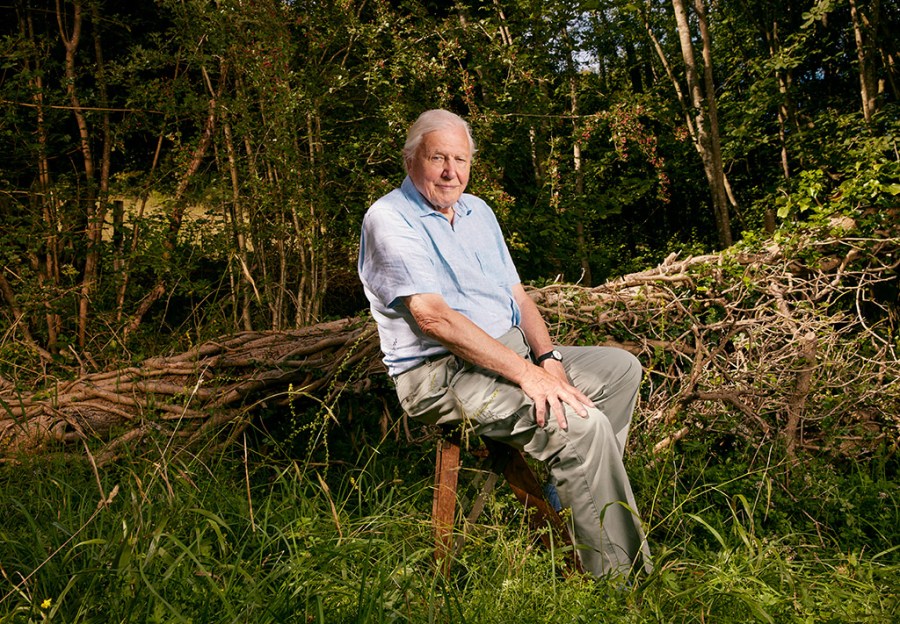 portrait of britain shortlist photo of david attenborough