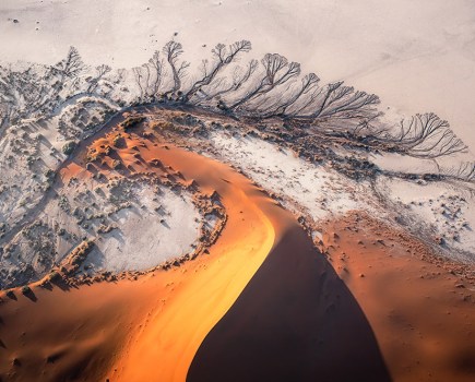 Desert Veins aerial photo of namibia desert