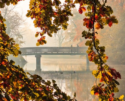 Sołacki Park in Poznań