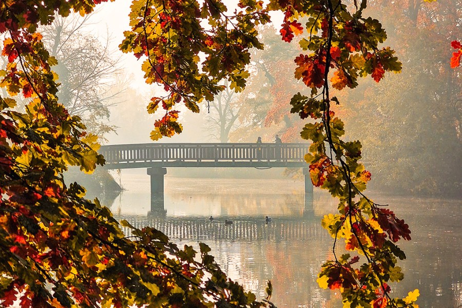 Sołacki Park in Poznań