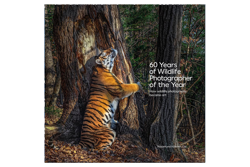 60 years of Wildlife Photographer of the Year book cover