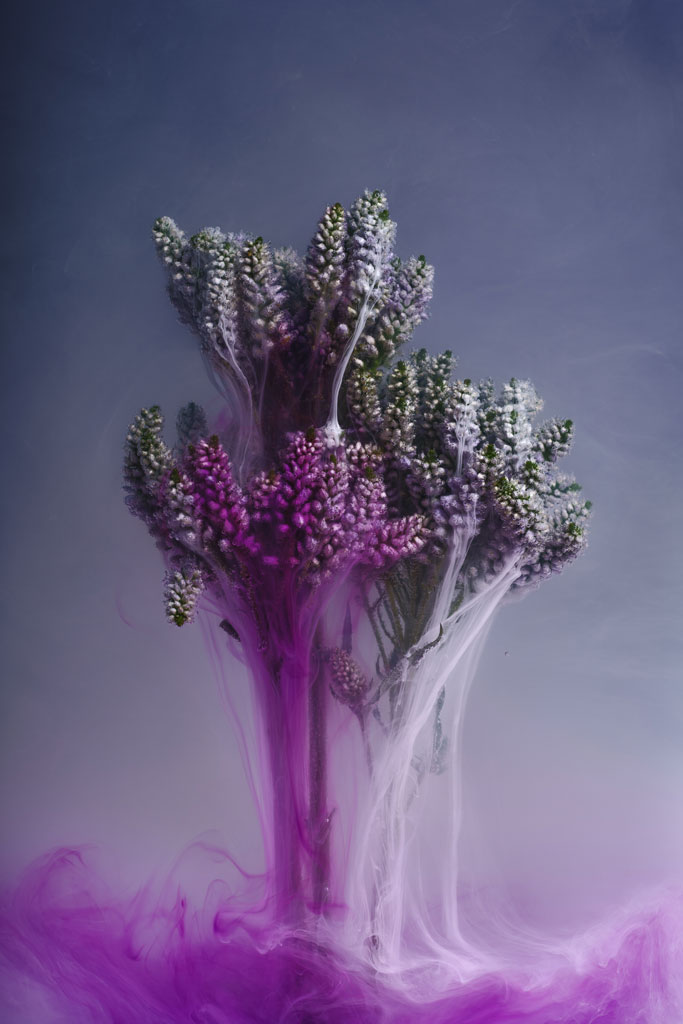 Angi Wallace flowers against a purple background