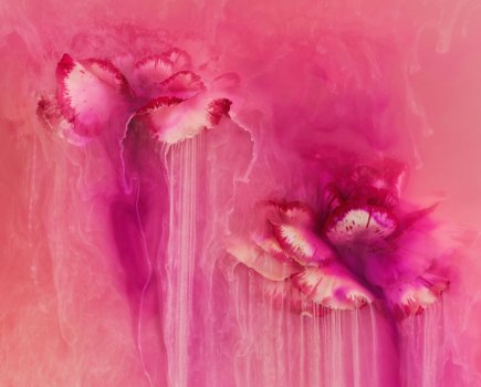 Angi Wallace flowers in pink
