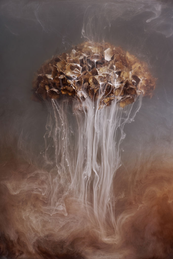 Angi Wallace tree of life dried flowers