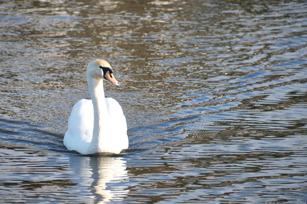 A sample image taken with the Fujifilm X-M5