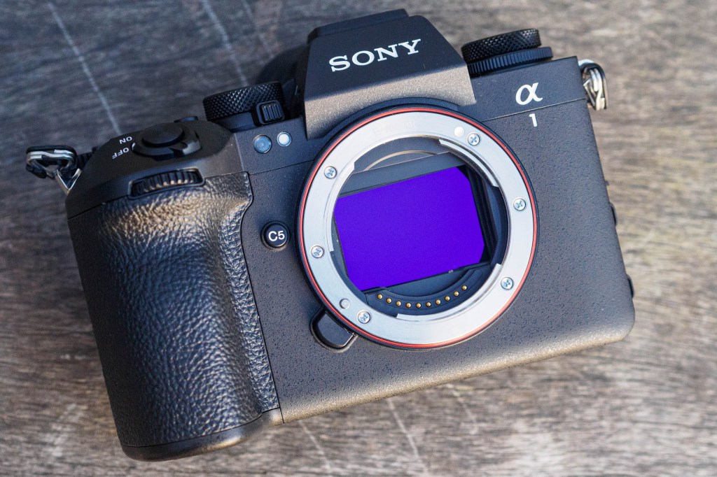 Sony Alpha A1 II 50MP full-frame sensor