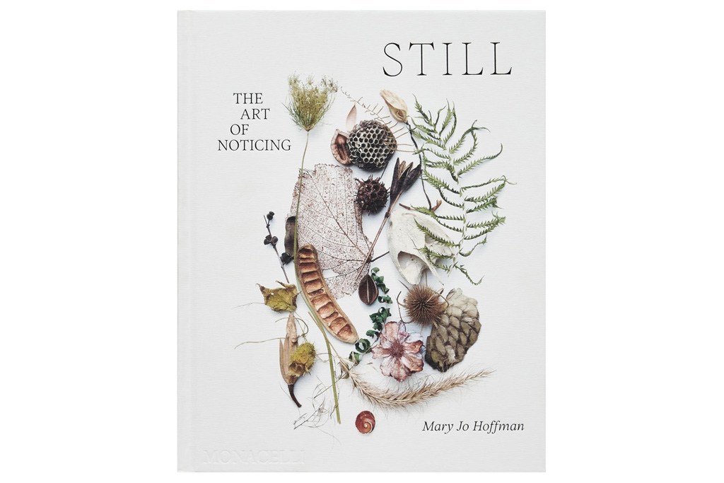 photo book, Still, the art of noticing, cover