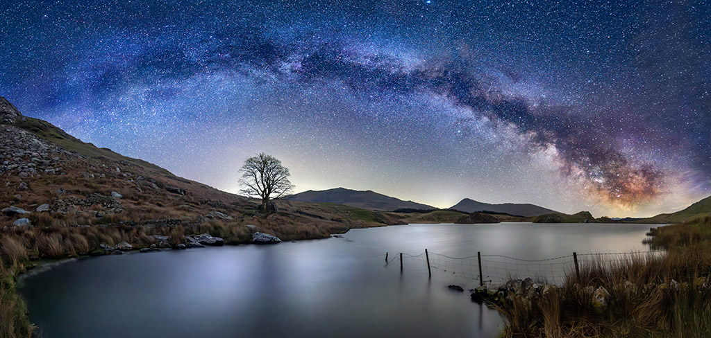 milky way over landscape scene with lone tree