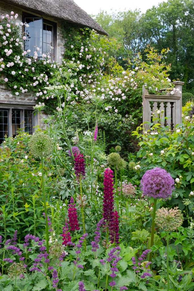 A lush garden and an english cottage in the background