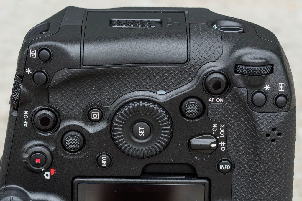 Canon EOS R1 vertical grip controls