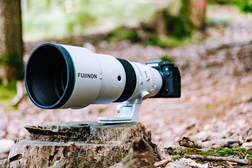 Fujifilm XF 500mm f5.6 R LM OIS WR lens on a tree trunk in the wood