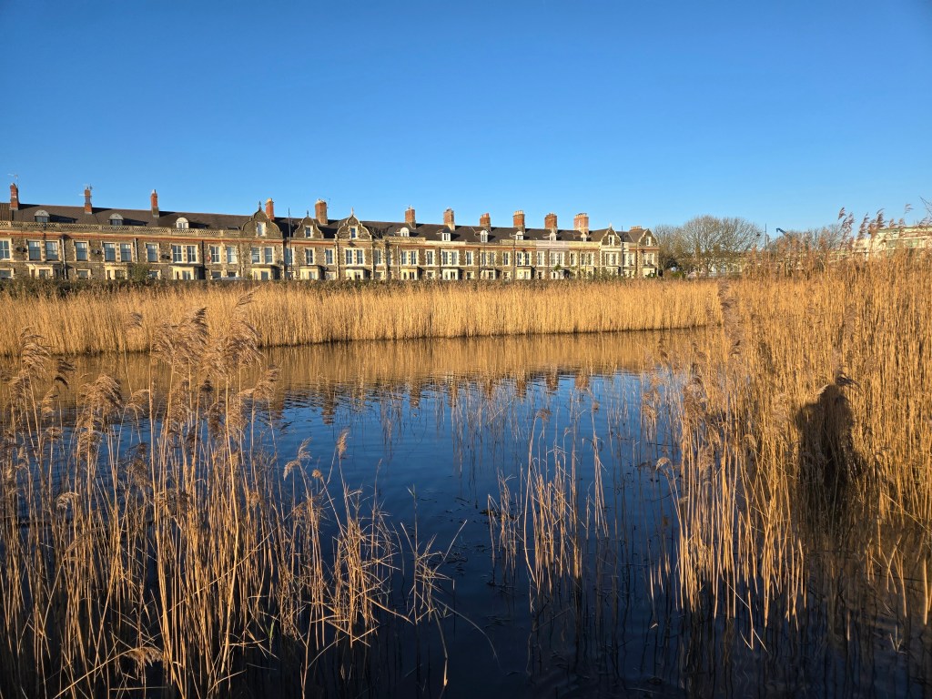 A sample image taken with the Samsung Galaxy Z Fold 6