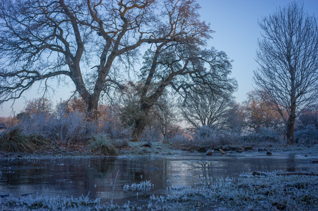 Vitrox AF 28mm F4.5 FE frosty landscape sample image