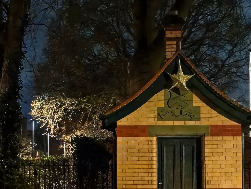 A sample image shot in very low light with the Vivo X200 Pro. 3x Lens / 10x Crop.