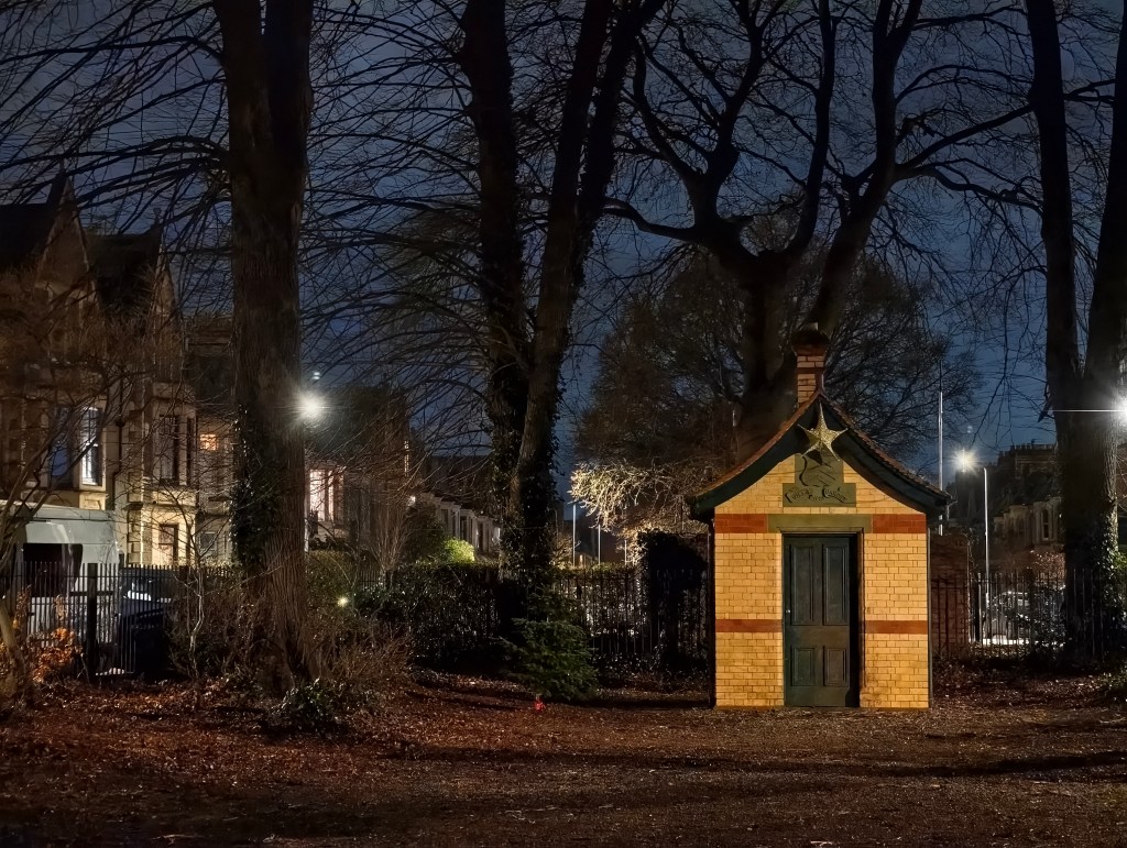 A sample image shot in very low light with the Vivo X200 Pro. 3x Lens.