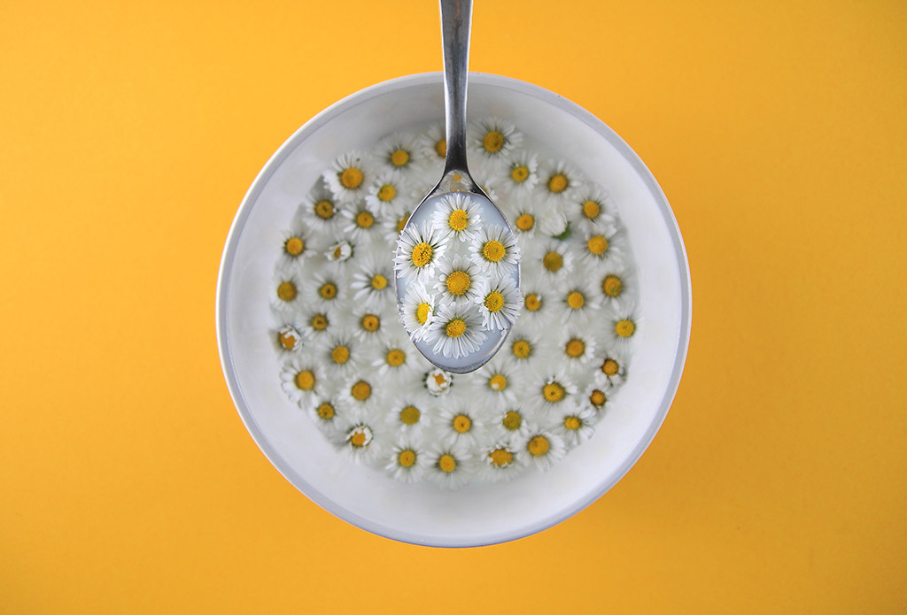 bowl of daisy flowers with a spoon holding more daisys looking like cereal